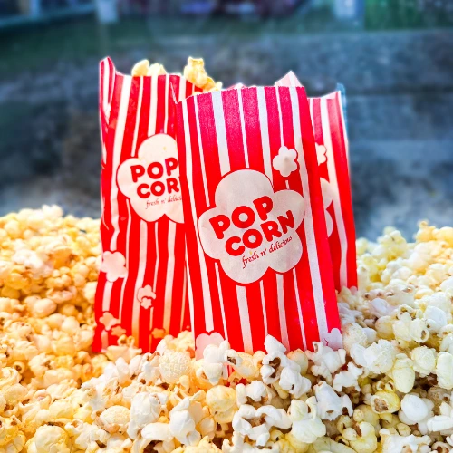 Popcorn Machine Service Cart